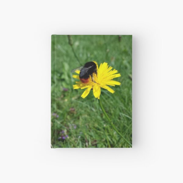 Bee on yellow flower Hardcover Journal