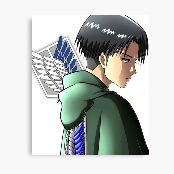 Download Levi PFP From Anime Wallpaper | Wallpapers.com
