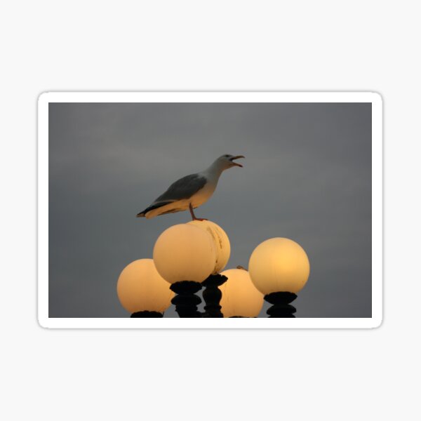 Item preview, Seagull sitting on a light designed and sold by photoslot.