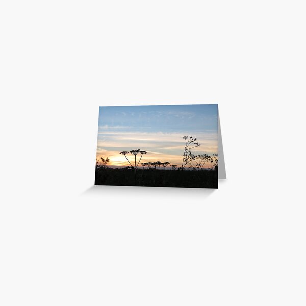Suffolk sunset Greeting Card