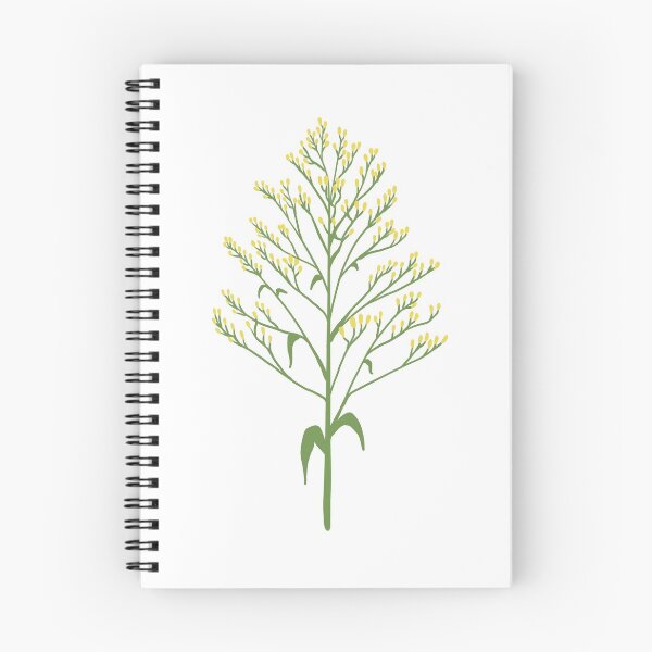 Item preview, Solidaster Flower designed and sold by MtAvens-Digital.