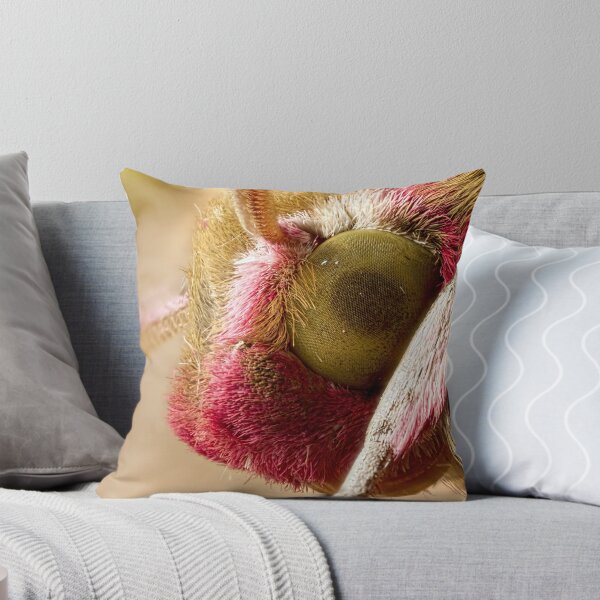 Item preview, Elephant Hawk moth eye Extreme macro designed and sold by MrBennettKent.