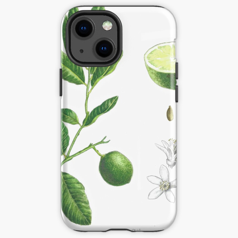 iphone 13 mini citrus