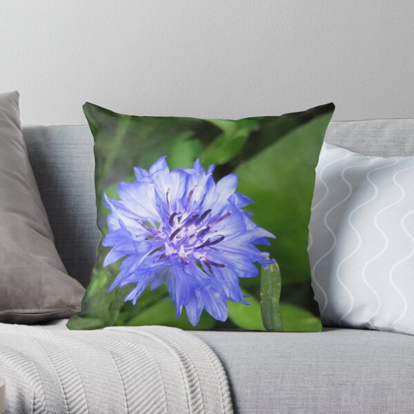 Cornflower blue hot sale pillows