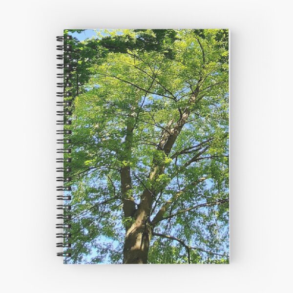 Item preview, Tree Tops-Tree on Hill designed and sold by DiensDesign.