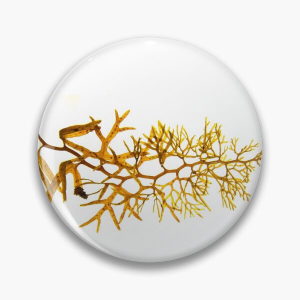 Item preview, Seaweed #19 designed and sold by dPhoto9.