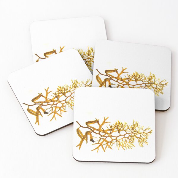 Item preview, Seaweed #19 designed and sold by dPhoto9.