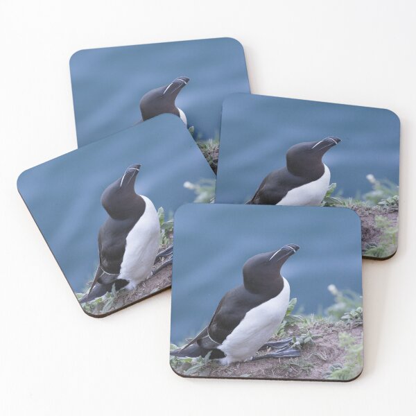 Item preview, Razorbill designed and sold by LaurenTucker.