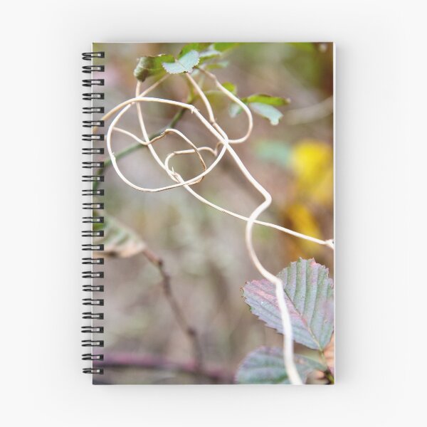 Item preview, Twisty designed and sold by Kendra Kantor.
