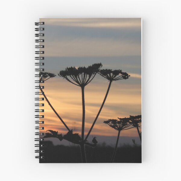 Item preview, Umbellifers at sunset designed and sold by Jax Blunt.