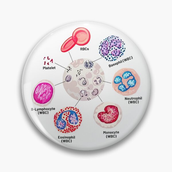 Item preview, Blood cells. RBCs. WBCs, Basophil, Platelet, thrombocyte, Neutrophil, B-Lymphocyte, Monocyte, Eosinophil. designed and sold by labstud.