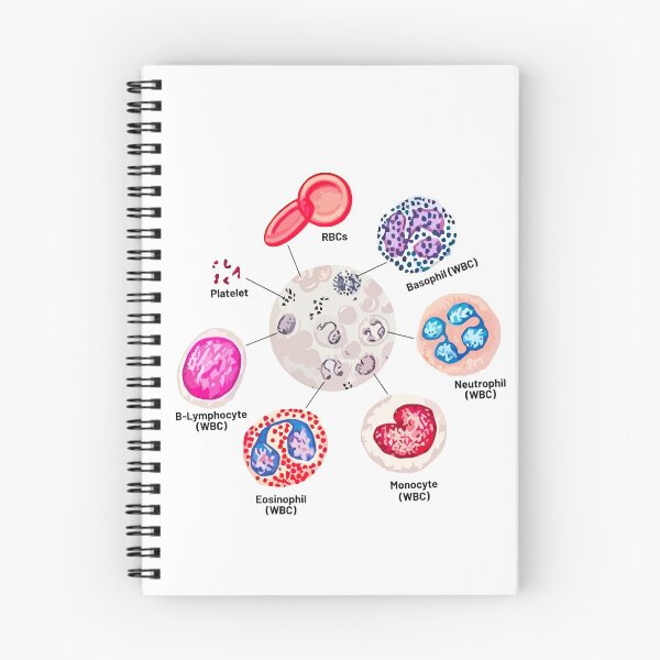 Item preview, Blood cells. RBCs. WBCs, Basophil, Platelet, thrombocyte, Neutrophil, B-Lymphocyte, Monocyte, Eosinophil. designed and sold by labstud.