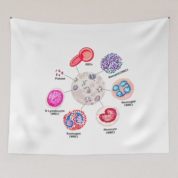 Item preview, Blood cells. RBCs. WBCs, Basophil, Platelet, thrombocyte, Neutrophil, B-Lymphocyte, Monocyte, Eosinophil. designed and sold by labstud.