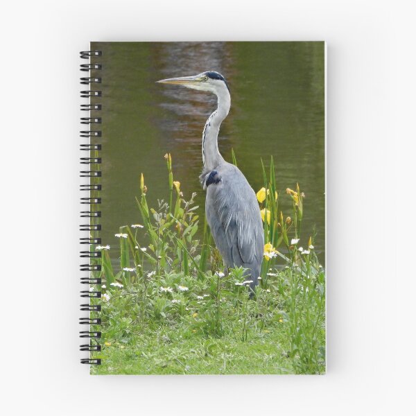 Item preview, A Wonderful Heron at the Waters Edge designed and sold by Karen Thomson.
