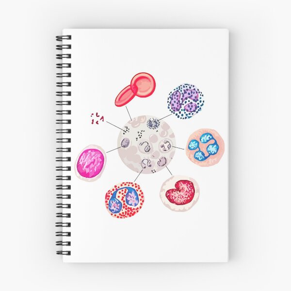 Item preview, Blood cells. RBCs. WBCs, Basophil, Platelet, thrombocyte, Neutrophil, B-Lymphocyte, Monocyte, Eosinophil. designed and sold by labstud.