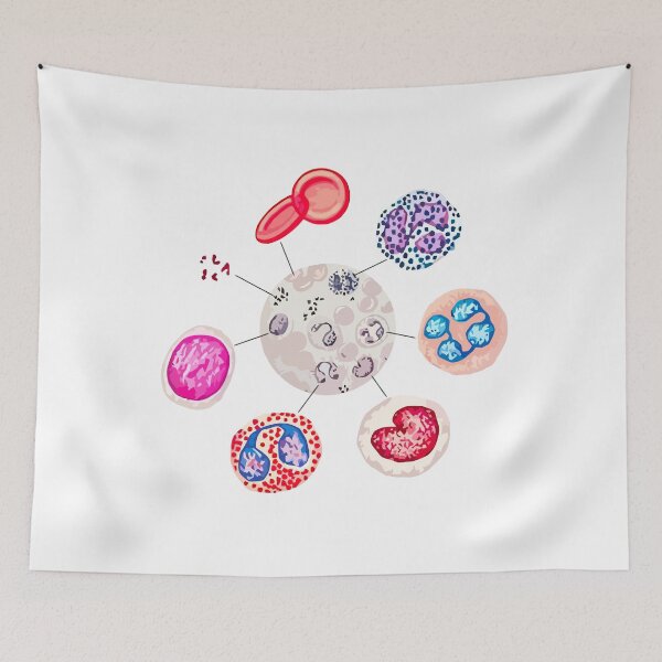 Item preview, Blood cells. RBCs. WBCs, Basophil, Platelet, thrombocyte, Neutrophil, B-Lymphocyte, Monocyte, Eosinophil. designed and sold by labstud.