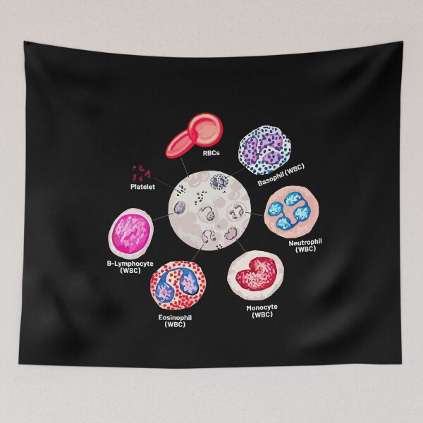 Item preview, Blood cells. RBCs. WBCs, Basophil, Platelet, thrombocyte, Neutrophil, B-Lymphocyte, Monocyte, Eosinophil. designed and sold by labstud.