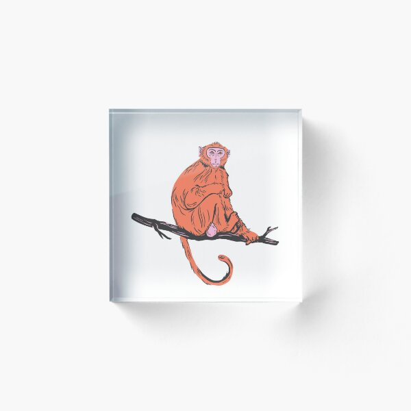 Item preview, Orange Monkey  designed and sold by ASiAL.