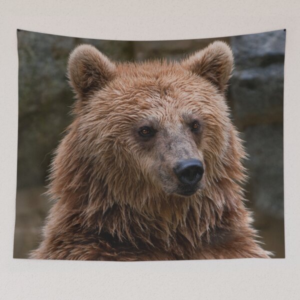 Item preview, Tapestries,Tapestry,throw blankets,comforters,duvet covers ,Grizzly Bear,animal, animals,Grizzly Bear wall art,Grizzly Bear artwork,Grizzly Bears,wild,Grizzly Bear art designed and sold by eyesight4vision.