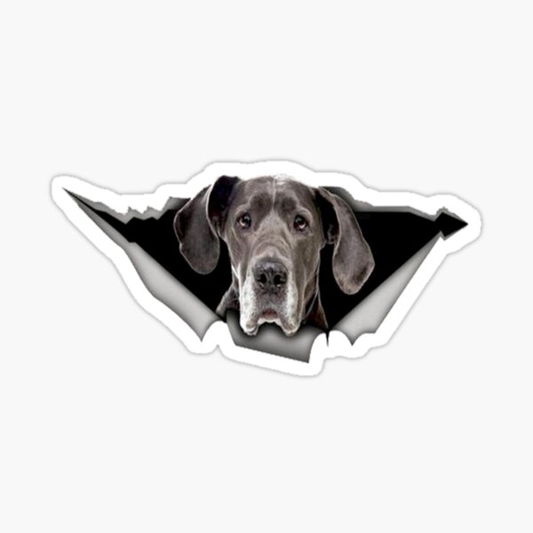 Great Dane -cute gift Great Dane for mom,dad,women and men Sticker