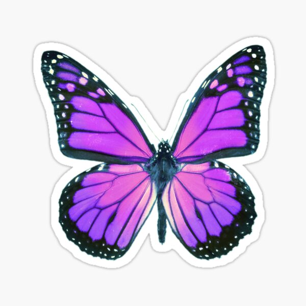 Ultraviolet Butterfly Sticker