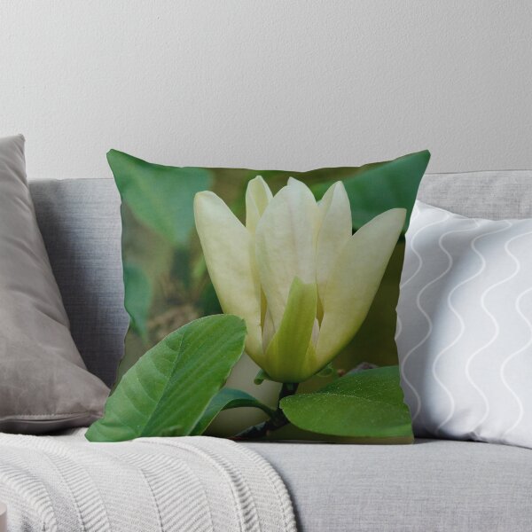 Aperçu de l'œuvre Fleur de Magnolia créée et vendue par BRENDA DOHERTY.
