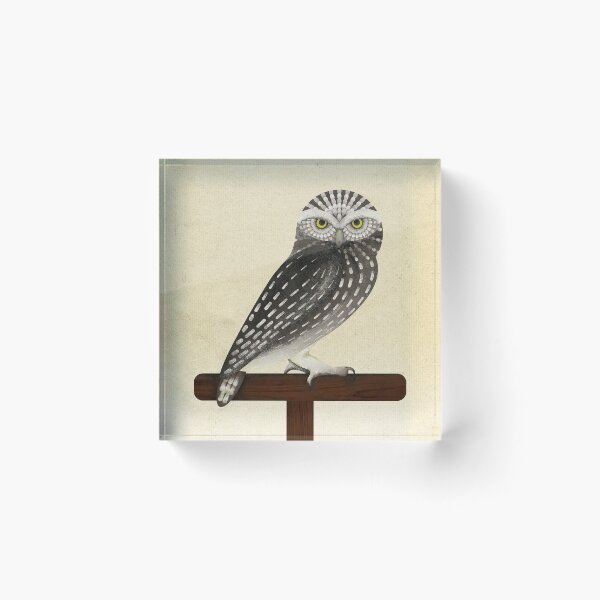 Item preview, Little owl designed and sold by pakanta.