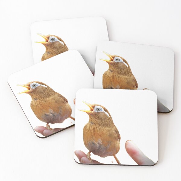 Item preview, Thrush and Hundred Tongue are all songbirds with soft voices designed and sold by zenger2021.