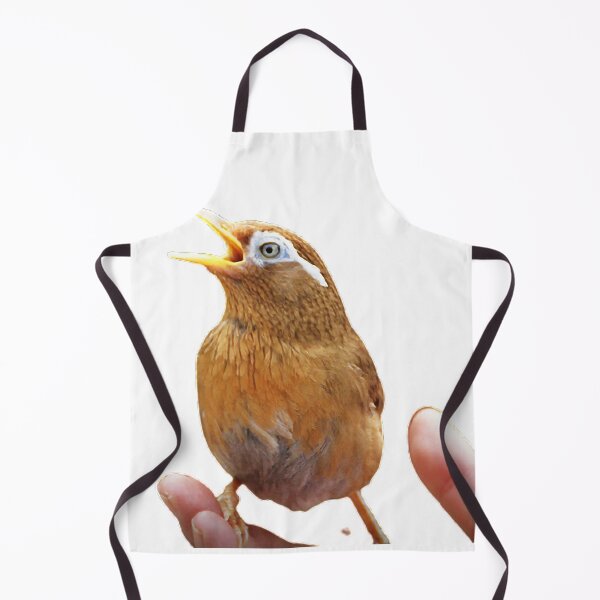 Item preview, Thrush and Hundred Tongue are all songbirds with soft voices designed and sold by zenger2021.