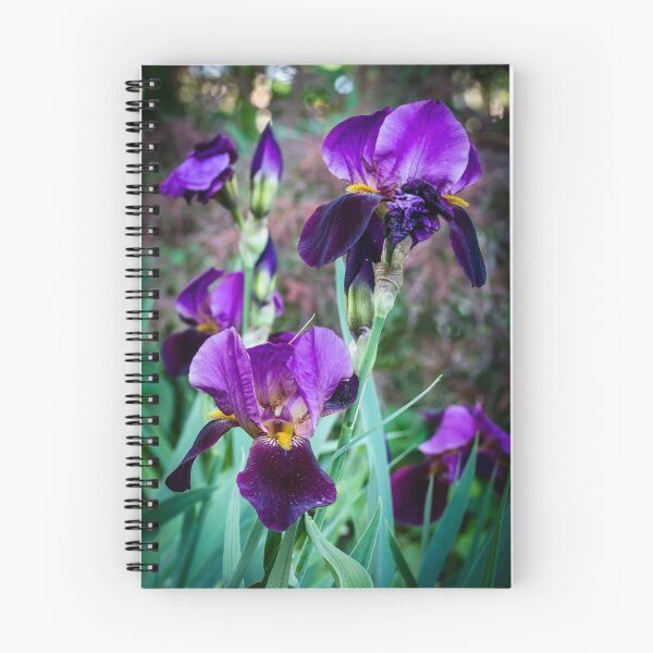 Item preview, Garden Iris 6 designed and sold by Robert Alsop.
