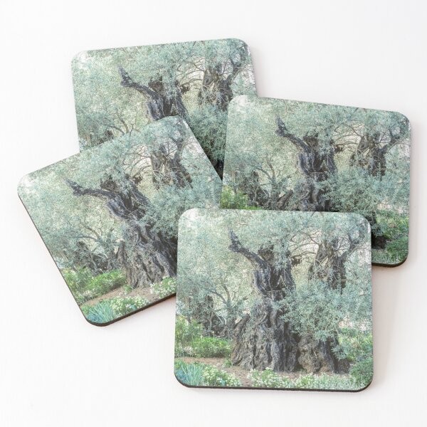 Item preview, 2000-Year-Old Olive Tree in the Garden of Gethsemane designed and sold by Karen Granoski.