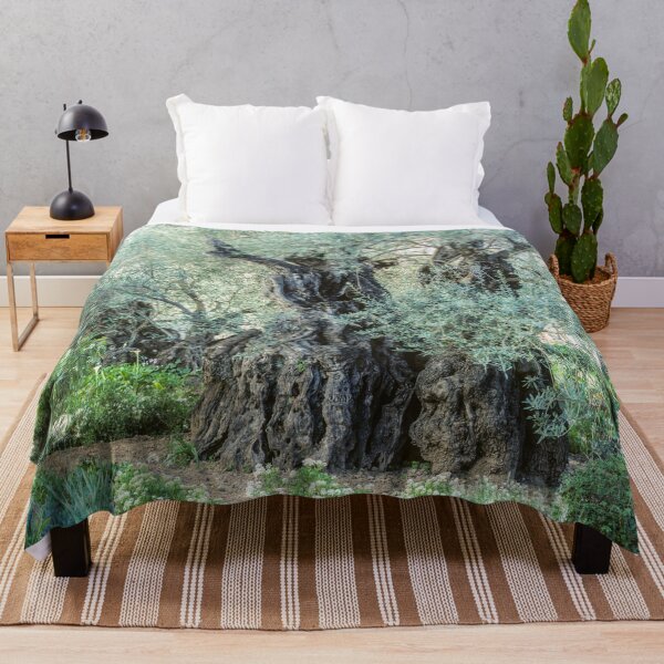 Item preview, 2000-Year-Old Olive Tree in the Garden of Gethsemane designed and sold by Karen Granoski.