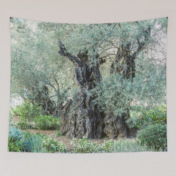 Item preview, 2000-Year-Old Olive Tree in the Garden of Gethsemane designed and sold by Karen Granoski.