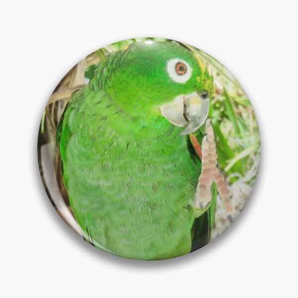 Item preview, Yellow Naped Amazon saying hello designed and sold by astronaut01.