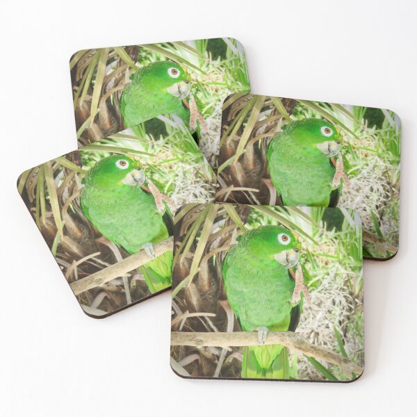 Item preview, Yellow Naped Amazon saying hello designed and sold by astronaut01.