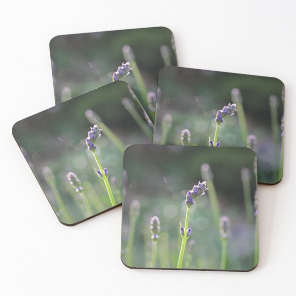 Item preview, Lavender designed and sold by hevansphoto98.