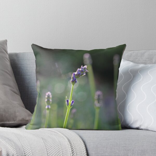 Item preview, Lavender designed and sold by hevansphoto98.