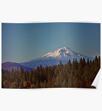 Berg Shasta Poster