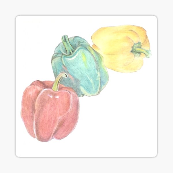 "Still Life Peppers Pencil Crayon Drawing" Sticker By SoniasArtwork ...