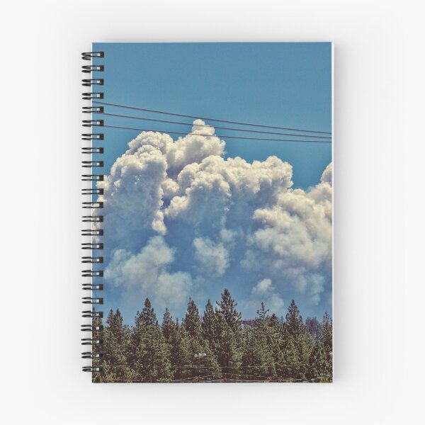 Item preview, Pine Nuts Fire designed and sold by Katie Doner.