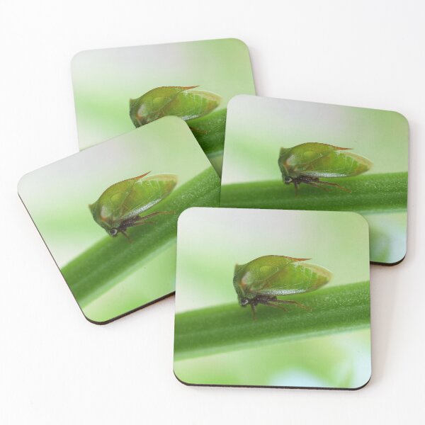 Item preview, Threecornered Alfalfa Hopper designed and sold by DonnaM.