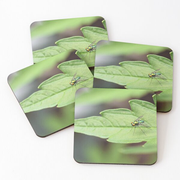 Item preview, Dolichopodidae - long-legged fly designed and sold by DonnaM.