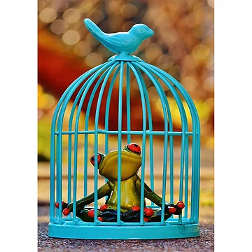 Artwork thumbnail, frog cage by RONYON