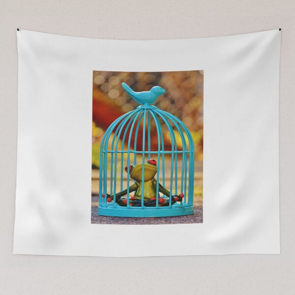 Item preview, jaula de rana designed and sold by RONYON.