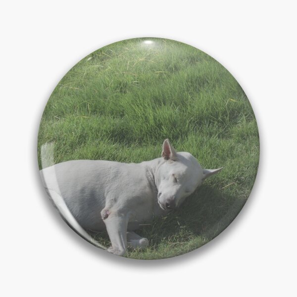 Item preview, Dogs roll on the grass in the morning. designed and sold by Kedmaneeshop.