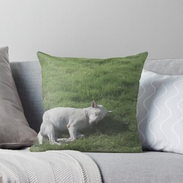 Item preview, Dogs roll on the grass in the morning. designed and sold by Kedmaneeshop.