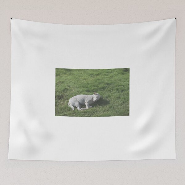 Item preview, Dogs roll on the grass in the morning. designed and sold by Kedmaneeshop.