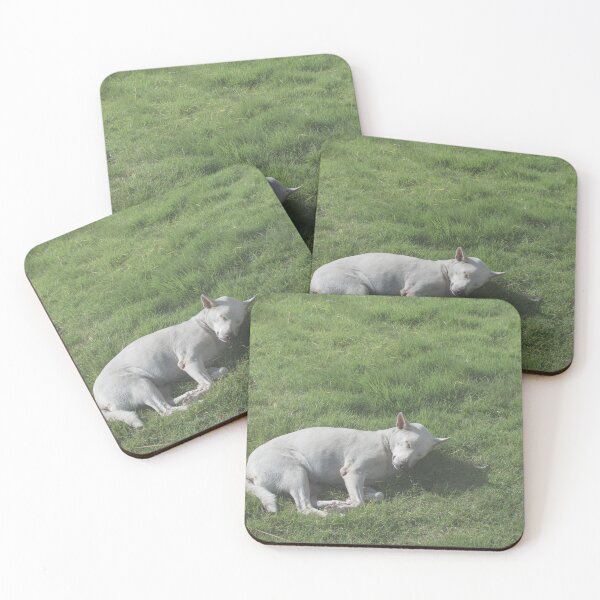 Item preview, Dogs roll on the grass in the morning. designed and sold by Kedmaneeshop.