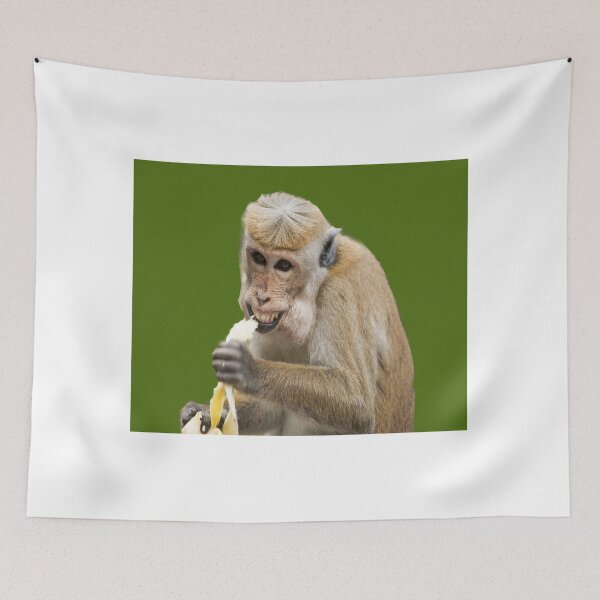 Item preview, Monkey Eats Own Banana  designed and sold by Right-M-E.