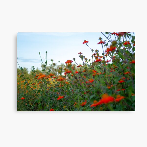 Item preview, wild flowers designed and sold by maydayzee.